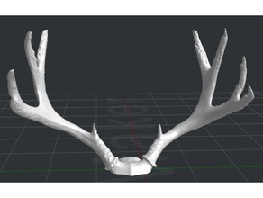 deer antlers 10 point animals 3d print model - Mito3D