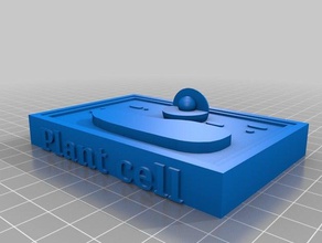 cellule végétale 3d l'impression 3d print model - Mito3D
