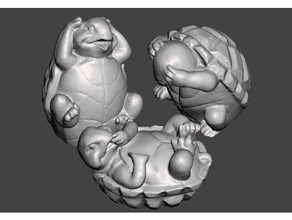 three turtles photogrammetry scans replicas 3d scan animals kitchen 3d print model - Mito3D