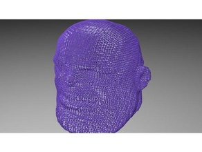 thanos wireframe head sculptures matt studios mattstudios mattstudioscubing wire frame 3d print model - Mito3D