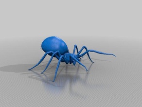 spider animali 3d print model - Mito3D