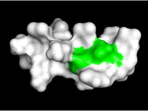 huntingtin-n17-Peptid Biologie drug discovery huntingtons Krankheit protein protein-Struktur 3d print model - Mito3D