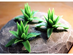 masa agave bitki oyuncak oyun aksesuarlar fantezi minyatür bitkiler üstü oyunlar arazi örtüsü wargame wargaming 3d print model - Mito3D