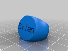 brian Ringe angepasst 3d print model - Mito3D