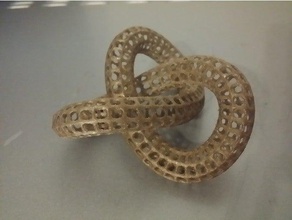 tore noeud de la cage à billes les mathématiques l'art 3d print model - Mito3D