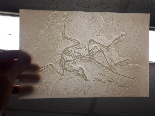 microraptor lithophane a los animales dinosaurio fósiles 3D print model - Mito3D