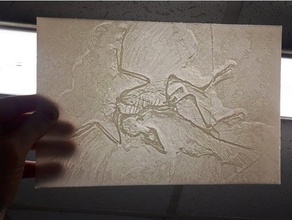 microraptor lithophane animaux dinosaure fossiles 3d print model - Mito3D