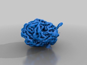 glomérule reconstruit de la biologie l'anatomie rein médecine microscope 3d print model - Mito3D