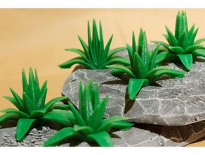 table usine de 5 agaves définir différents nombre feuilles jouet jeu accessoires la décoration plantes végétation 3d print model - Mito3D
