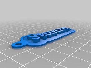 il mio personalizzato della catena chiave stanza i portachiavi su misura 3d print model - Mito3D
