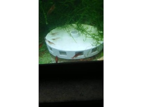 crevettes à la sécurité d'alimentation de l'antenne les animaux compagnie l'aquarium aquariums du poisson réservoir poissons bol nourriture pour d'aquarium plat 3d print model - Mito3D
