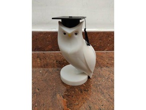 owl square academic cap sculptures 3d print model - Mito3D