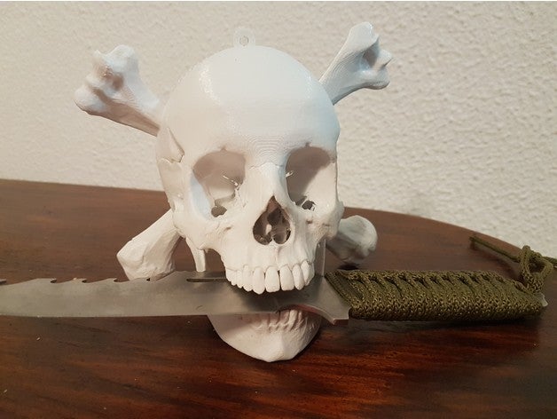 crânio humano pendurar na parede estilo pirata a arte ossos cérebro logotipo nsfw esqueleto do 3D print model - Mito3D