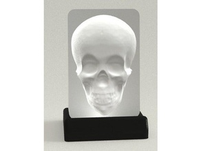 optical illusion murray tracking skull sculptures 3d print model - Mito3D