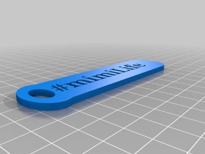 mimilife clave de la cadena llaveros 3d print model - Mito3D