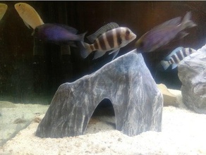 acquario decorazione texture grotta di roccia grandi dimensioni gli animali domestici acquari ciclidi pesce serbatoio pleco rettile 3d print model - Mito3D