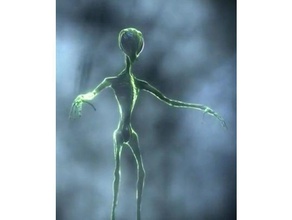 insettoide alieno creature 3d print model - Mito3D