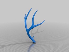 deer antler di scansione ad alta risoluzione animali 3d print model - Mito3D