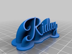 ridley place card office customized 3d print model - Mito3D