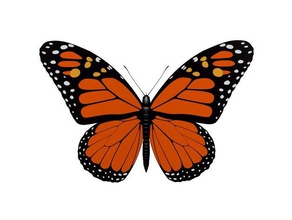 farfalla monarca animali 3d insetto high poly di piccola taglia 3d print model - Mito3D