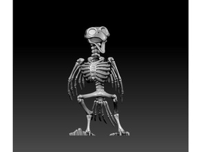 dead parrot Herausforderung Tiere Vogel komisch Skelett 3d print model - Mito3D