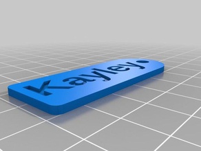 il mio personalizzato kayley chiave tag organizzazione 3d print model - Mito3D