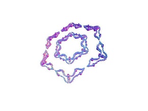 angelcrest - coroa de flores a arte colar pingente rcs 3d print model - Mito3D