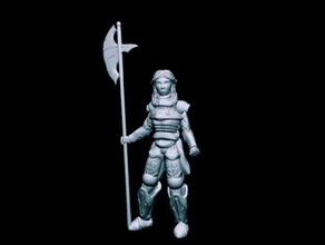 misericordia dulanc cavaliere rosa 32mm scala i giocattoli giochi gioco da tavolo boardgames dnd dnd5e dungeon dragons fantasy fighter frostgrave gaming miniature mordheim pathfinder roleplaying rpg tabletop wargame wargames wargaming warhammer 3d print model - Mito3D