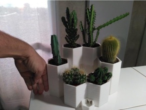 cactus pot water reserve outdoor garden flower nsfw succulents succulent plant vase 3d print model - Mito3D