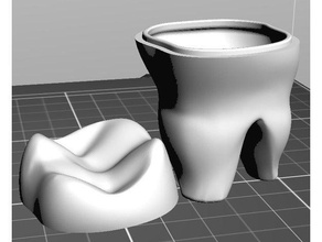 denti di dialogo gadget i umani scatola stoccaggio 3d print model - Mito3D