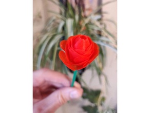 rosa arredamento anniversario data fiore la fidanzata amore mestiere di carta petali red romantico san valentino il giorno moglie 3d print model - Mito3D