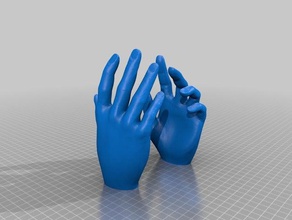 mani femminili persone 3d print model - Mito3D