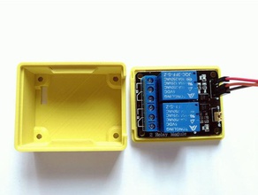 dual channel relay case diy 2 mount board 3d print model - Mito3D