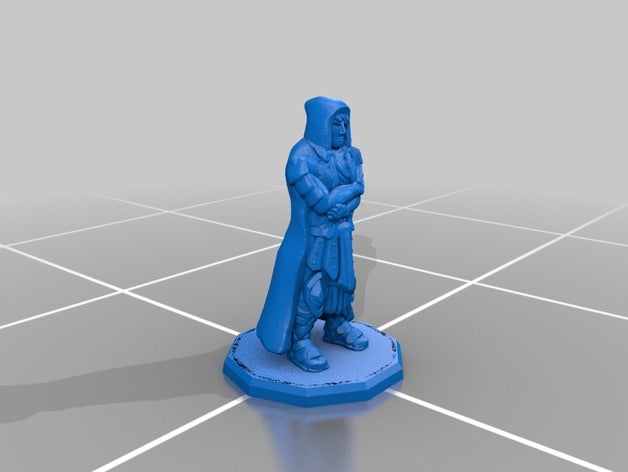 rpg miniature - rogue ladr o toy & game accessories d&d dnd 3D print model - Mito3D