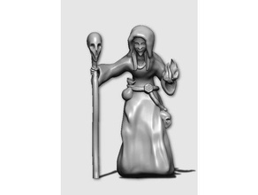 witch people evil mage mini miniature wargaming wizard 3d print model - Mito3D
