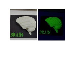 Leuchten Gehirn Kunst glühen dunkel Mensch 3d print model - Mito3D