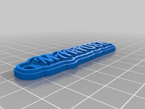 minha personalizado de várias linhas tag porta-chaves sinais logotipos 3d print model - Mito3D