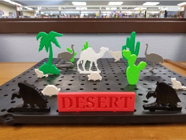 6th grade biome project learning 3D print model - Mito3D