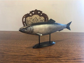 pacific herring fish animals 3d print model - Mito3D