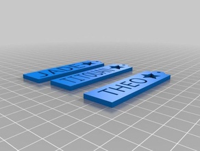 porte cl&eacute pr&eacutenom 3d impressão 3d print model - Mito3D