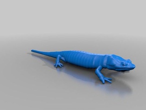 salamandre animals 3d print model - Mito3D