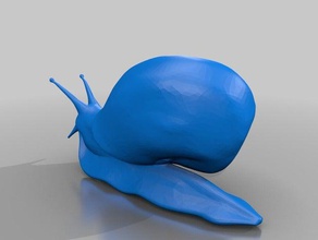 l'escargot les animaux 3d print model - Mito3D