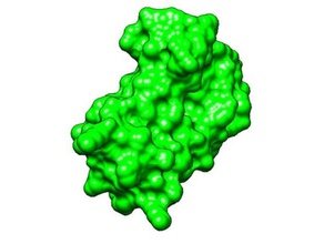 impression de la protéine biologie d'acides aminés les acides l'anatomie anatomyproject biochimie l'adn evolv moléculaire science scienceproject l'enseignement des sciences 3d print model - Mito3D