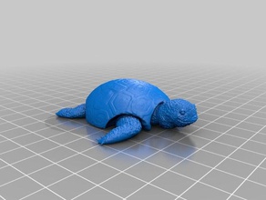 tortoise models 3d print model - Mito3D