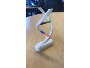 dna-Modell Biologie 3d print model - Mito3D