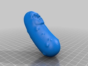 pickle saku le scansioni repliche 3d print model - Mito3D