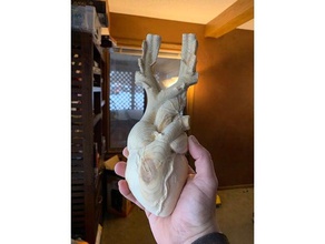 anatomical heart cnc flat back biology cardiology wall mount 3d print model - Mito3D