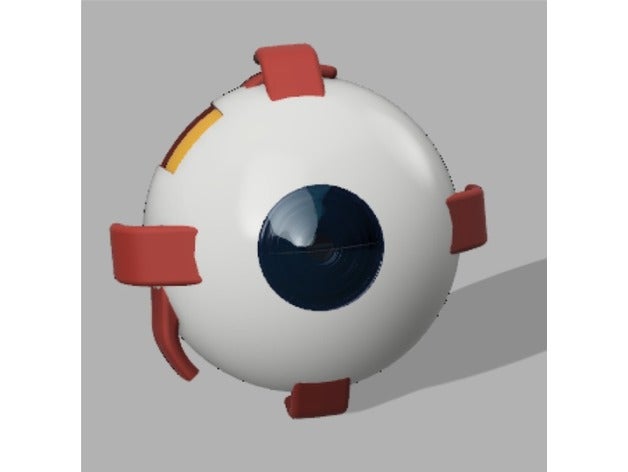 olho trocadilho não poderia começar qualquer córnea 3d impressão anatomia globo ocular 3D print model - Mito3D