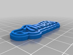 my customized keychain anet8 signs logos 3d print model - Mito3D