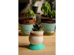 round pot base Dekor Kaktus cactus cup Pflanzer Blumentopf maceta macetas 3d print model - Mito3D